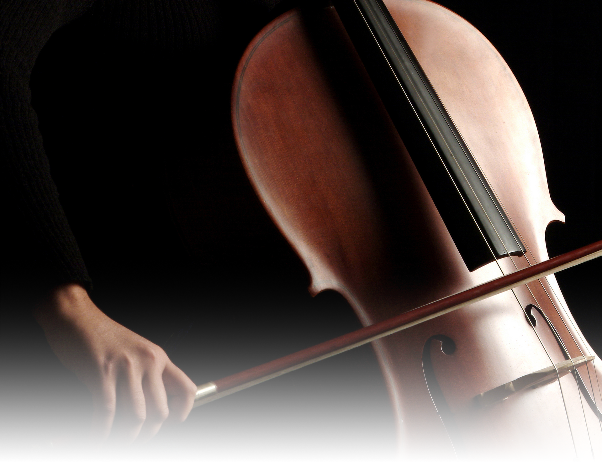 開云手機站登錄入口有限公司