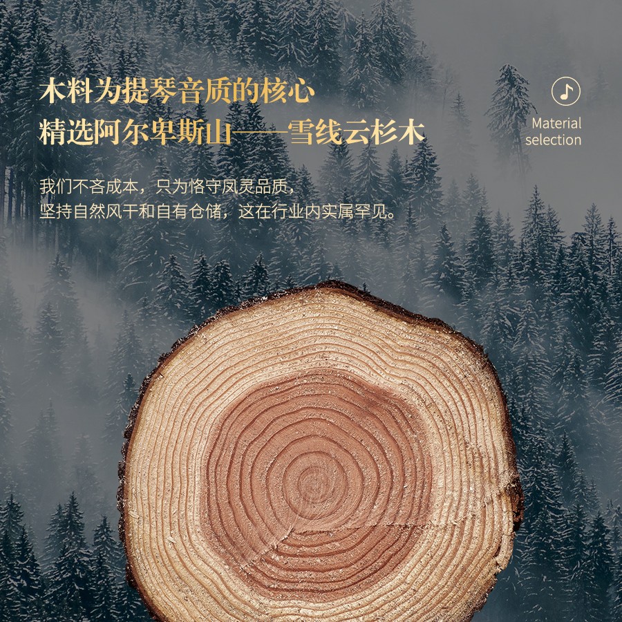 開云手機(jī)站登錄入口有限公司