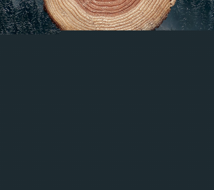 開云手機站登錄入口有限公司