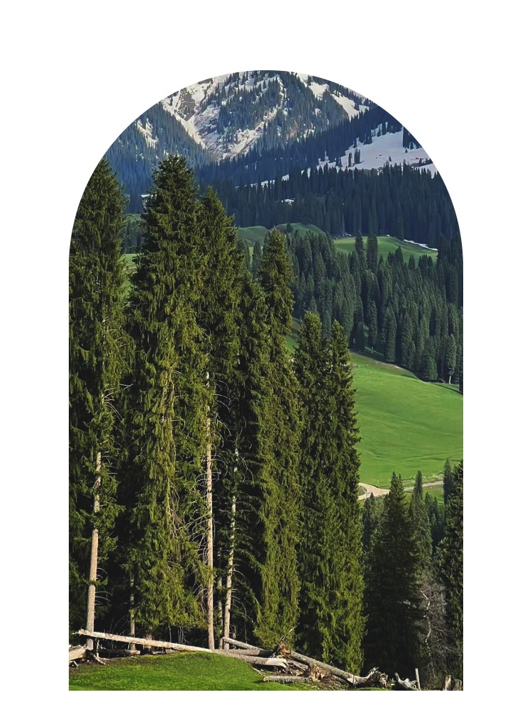 開云手機站登錄入口有限公司