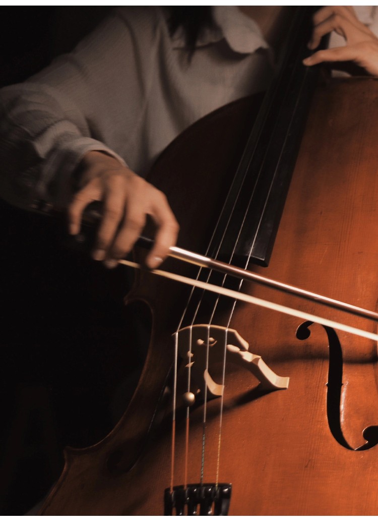 開云手機站登錄入口有限公司