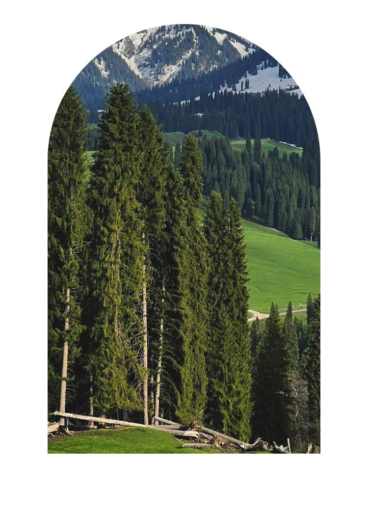 開云手機站登錄入口有限公司