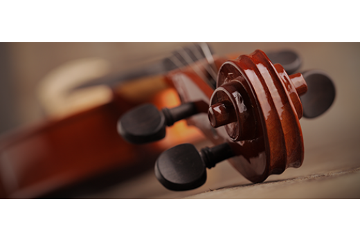 馬可波羅協(xié)會(huì)會(huì)長來我集團(tuán)訪問