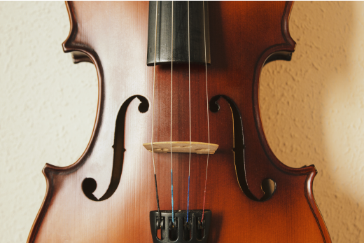 2011江蘇開云手機(jī)站登錄入口提琴文化旅游節(jié)在我集團(tuán)隆重舉辦