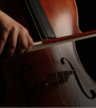 開云手機站登錄入口提琴